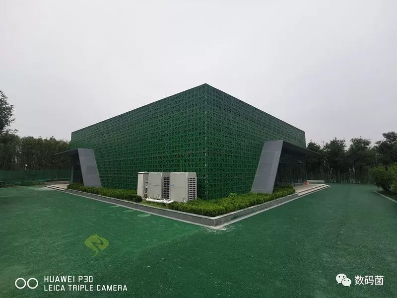 开启透视模式和平精英_和平精英怎么开人物透视_game和平精英透视