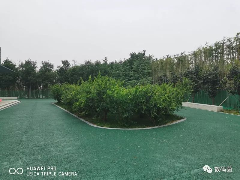 game和平精英透视_开启透视模式和平精英_和平精英怎么开人物透视