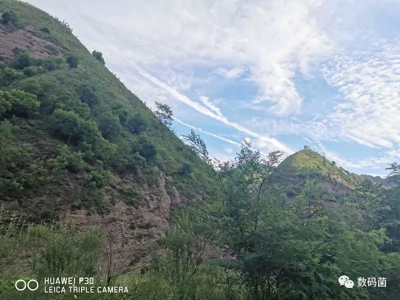 game和平精英透视_开启透视模式和平精英_和平精英怎么开人物透视