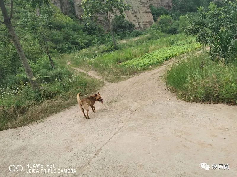 和平精英怎么开人物透视_game和平精英透视_开启透视模式和平精英