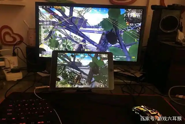 光子和平精英光子透视_和平精英光子图片真人解说_和平精英光子的真实面貌