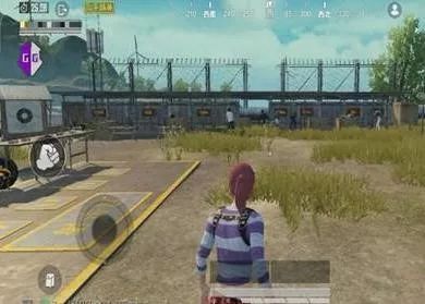 和平精英透视容易被封号吗_和平精英透视封号几率_和平精英透视会被检测吗