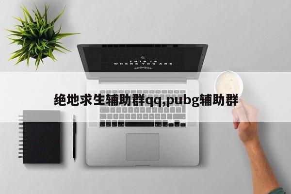 和平精英直播透视_和平精英主播分屏透视_和平精英主播分屏挂