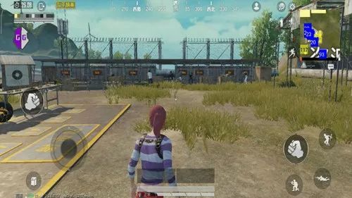 和平精英透视多吗_548wgcn和平精英透视_和平精英透视手游